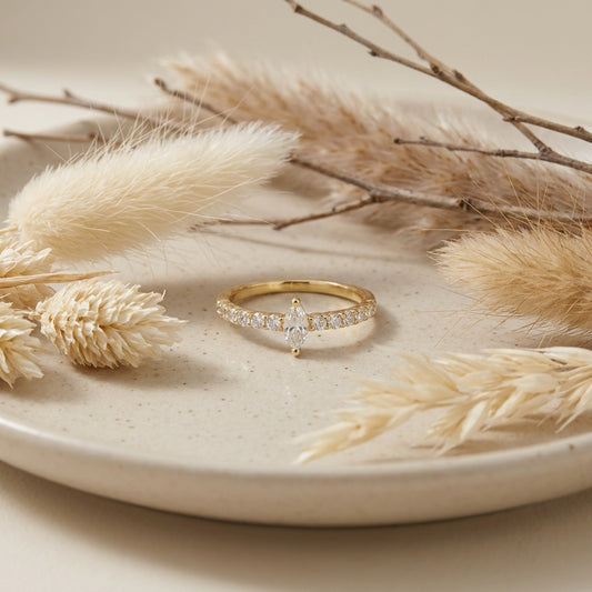 תמונת המחשה