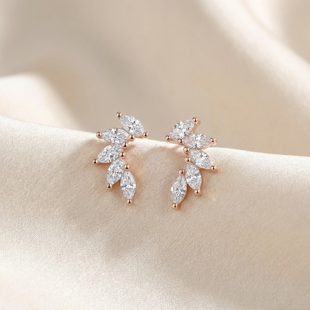 תמונת המחשה